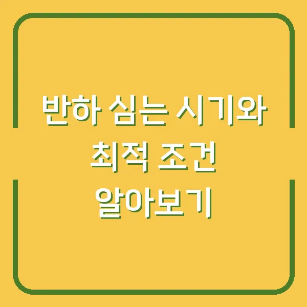 반하 심는 시기와 최적 조건 알아보기