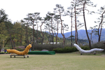 함평 가볼만한곳 베스트10