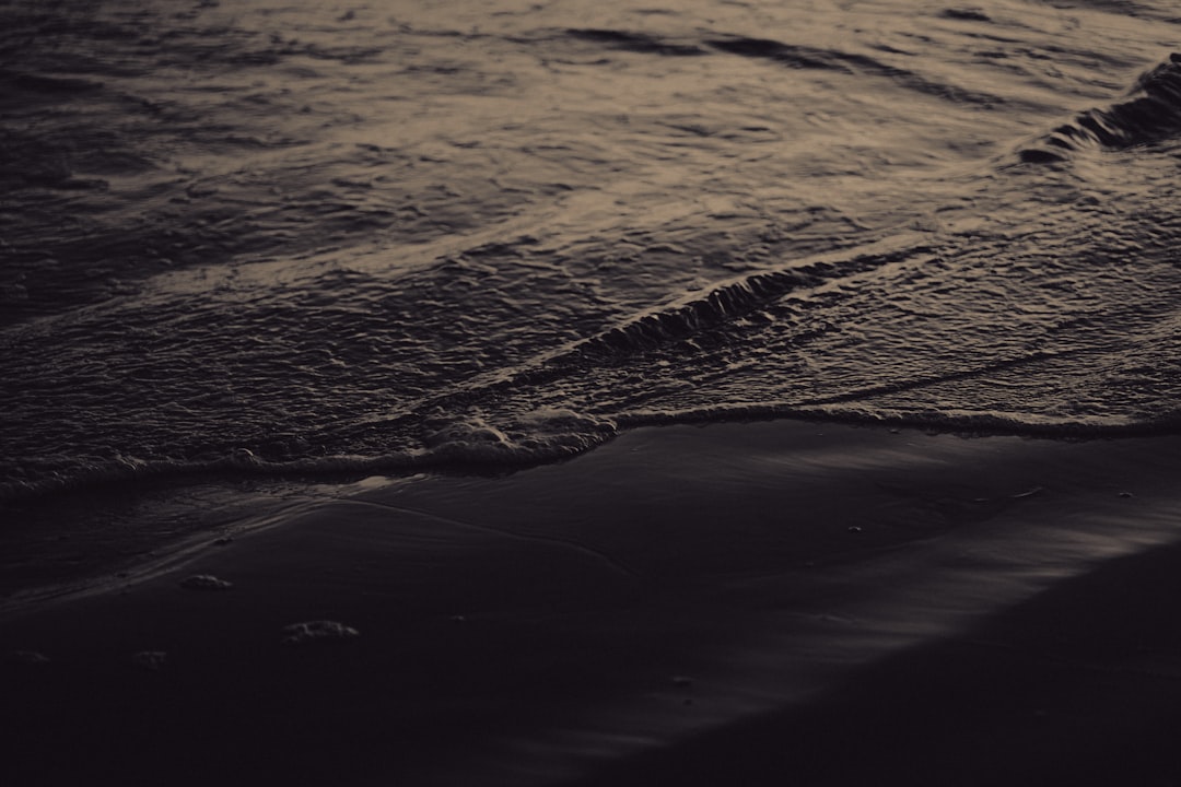 Surety.