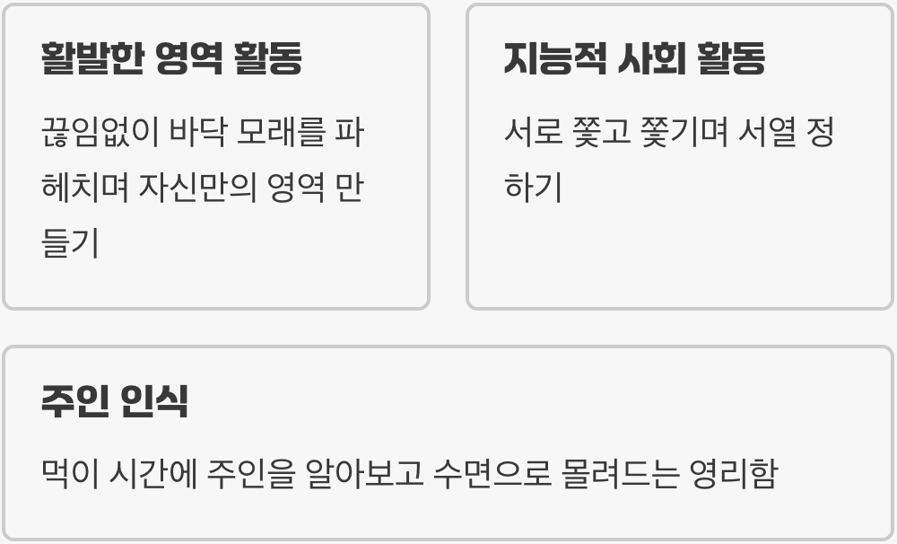 지루할 틈 없는 물속의 작은 폭군