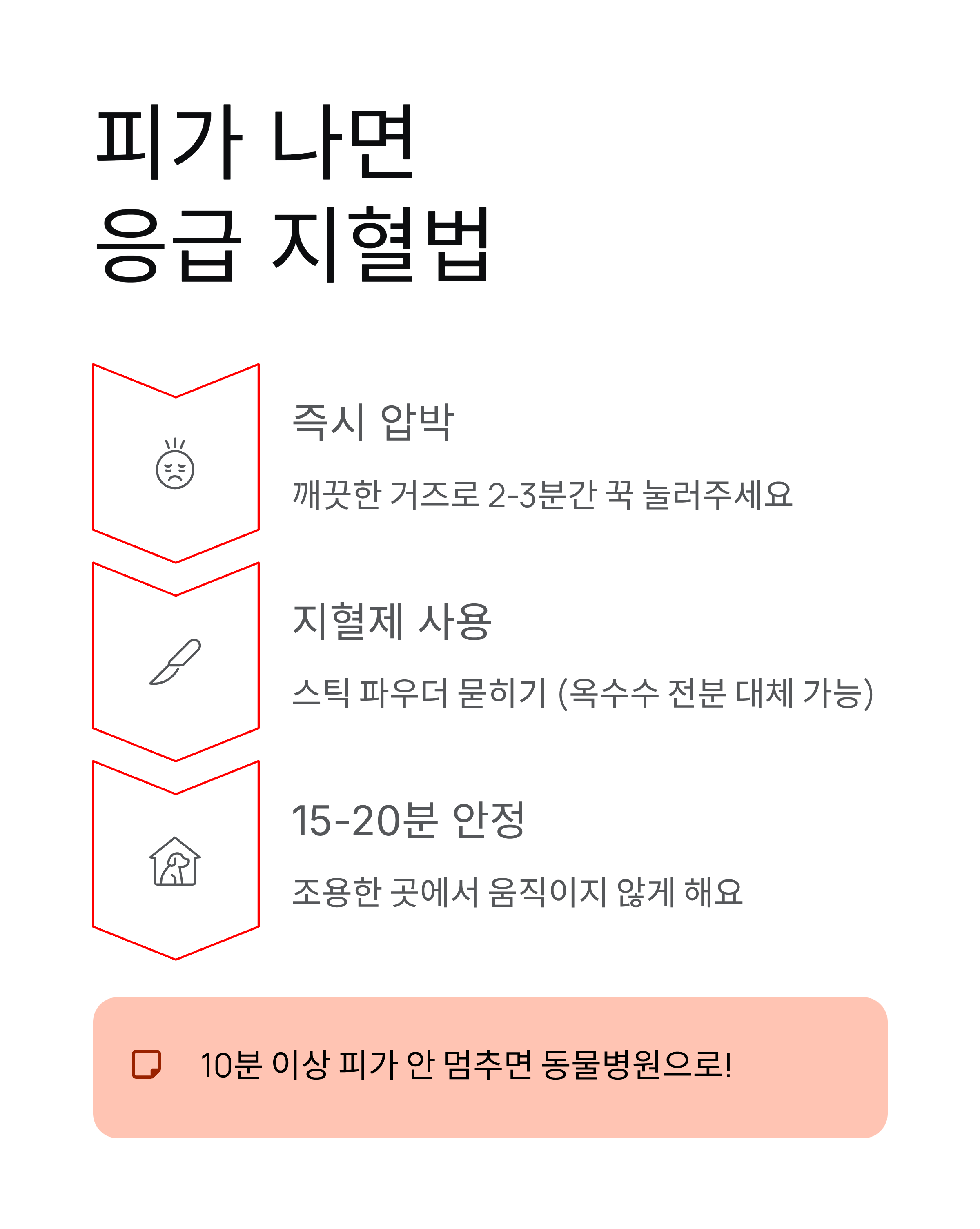 강아지 발톱깎기 ❘ 방법 주기 혈관 지혈 집에서 안전하게 자르는법 총정리