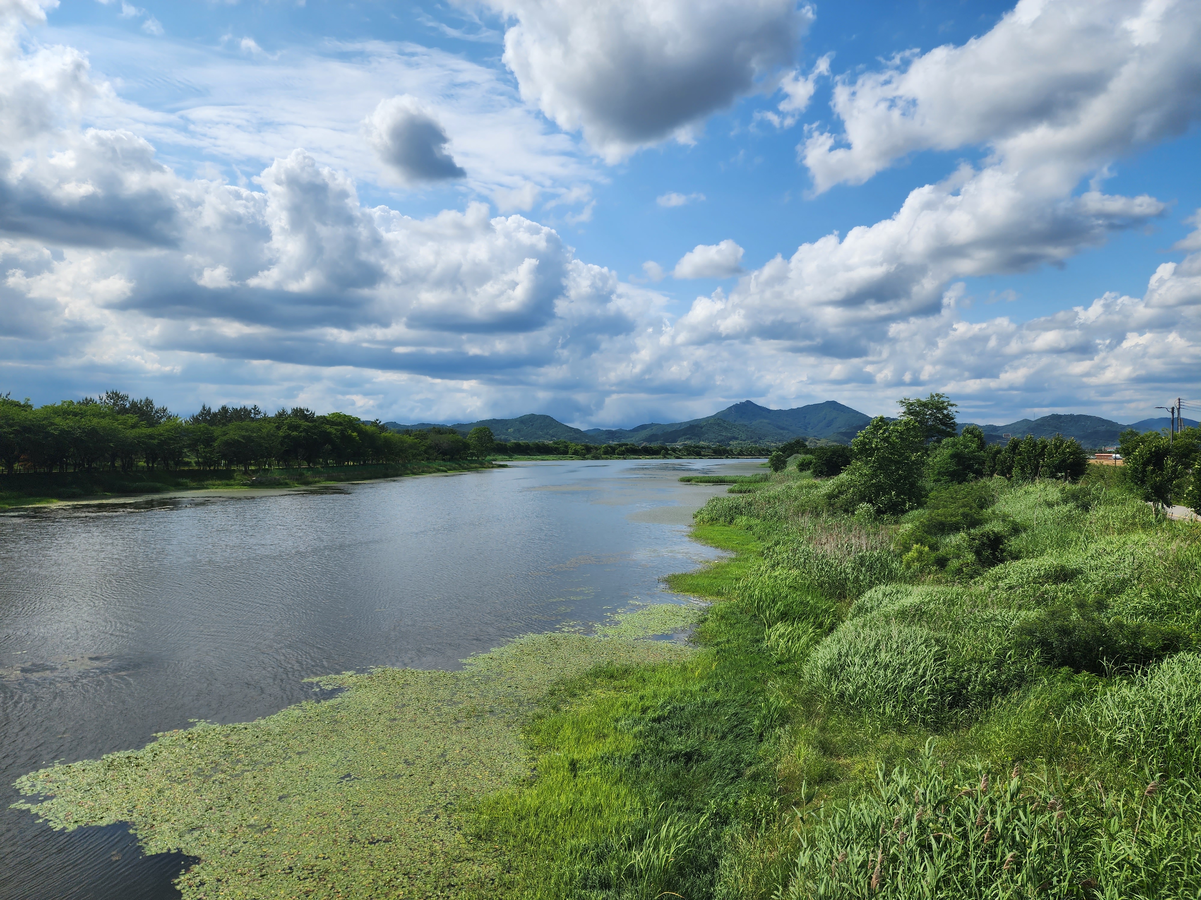 송산 공원 호수뷰