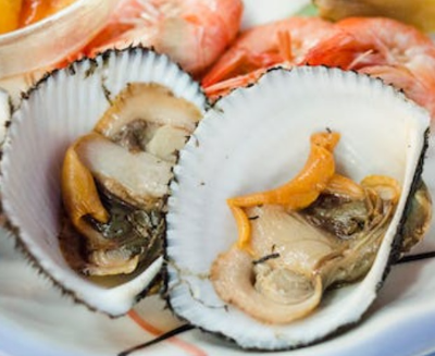 꼬막 해감쉽게하는법