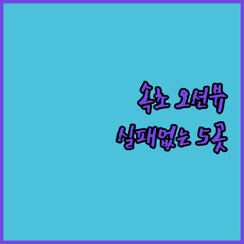 속초 숙소 추천 오션뷰 신축 호텔부터..