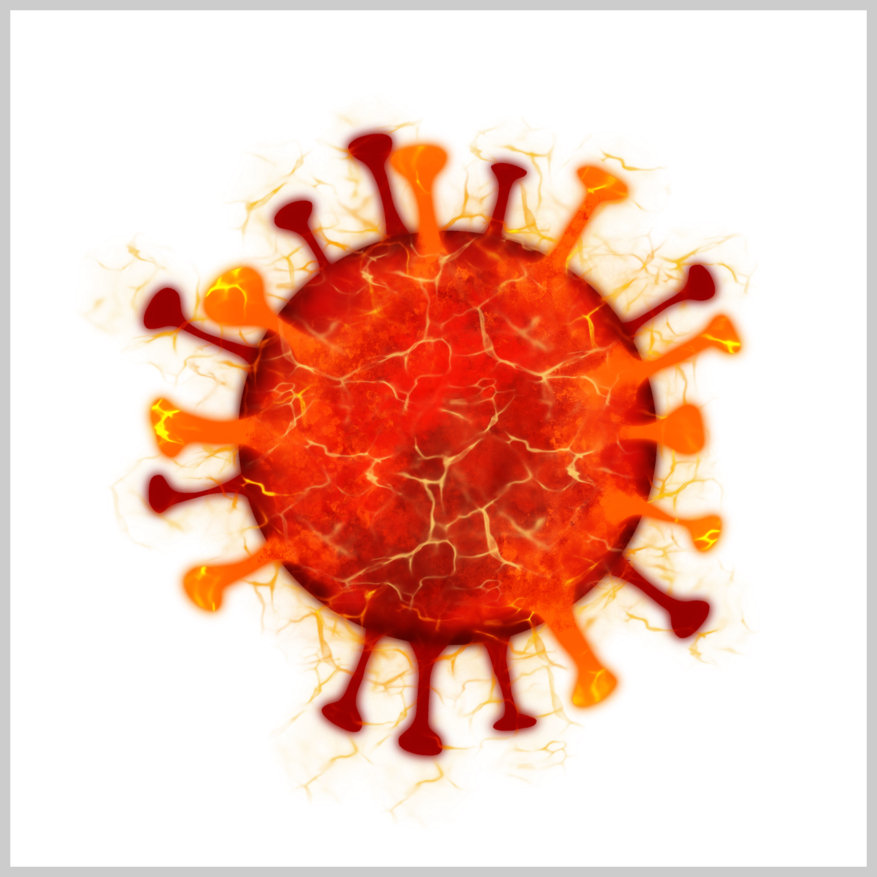 예방접종증명서 인터넷 발급