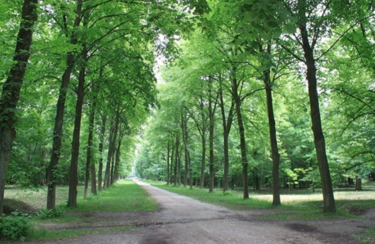 체중 감량을 방해하는 잘못된 습관 해결 방안