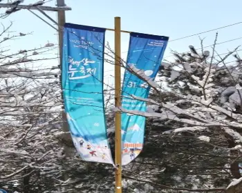 태백 눈꽃축제, 겨울축제_2