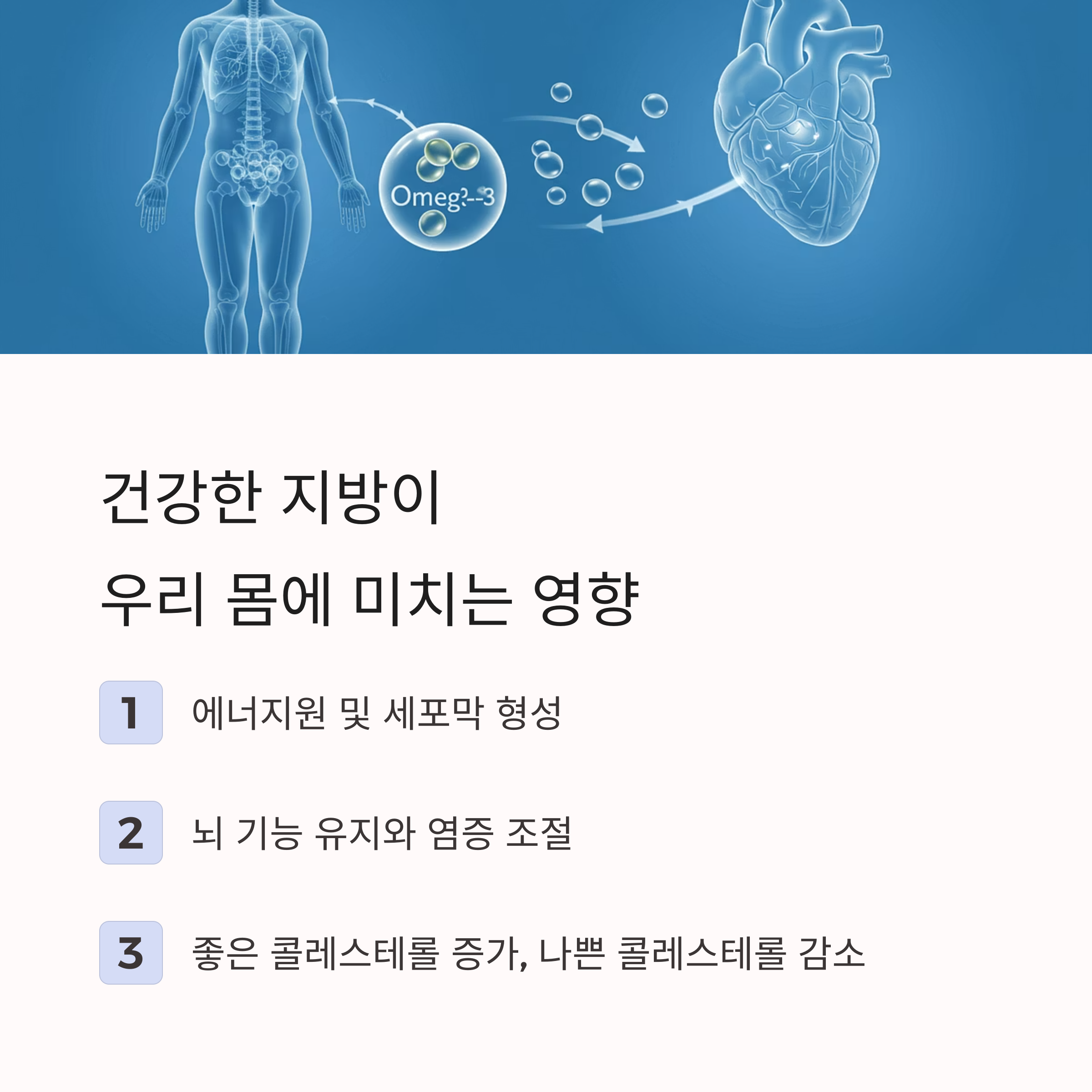 건강한 지방과 나쁜 지방 어떻게 구분할까 (3)