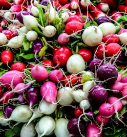 무 효능과 부작용