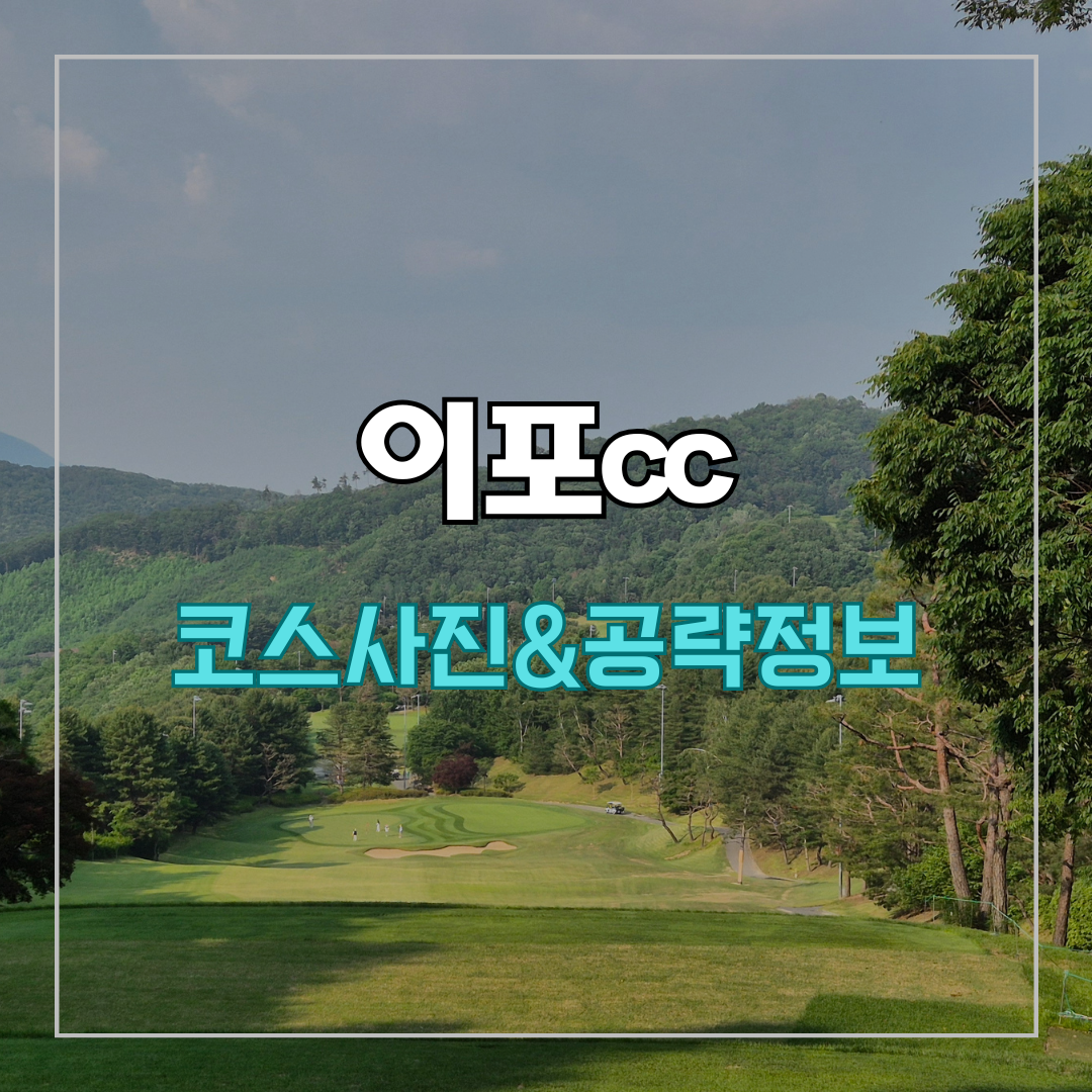 이포cc 라운드 후기
