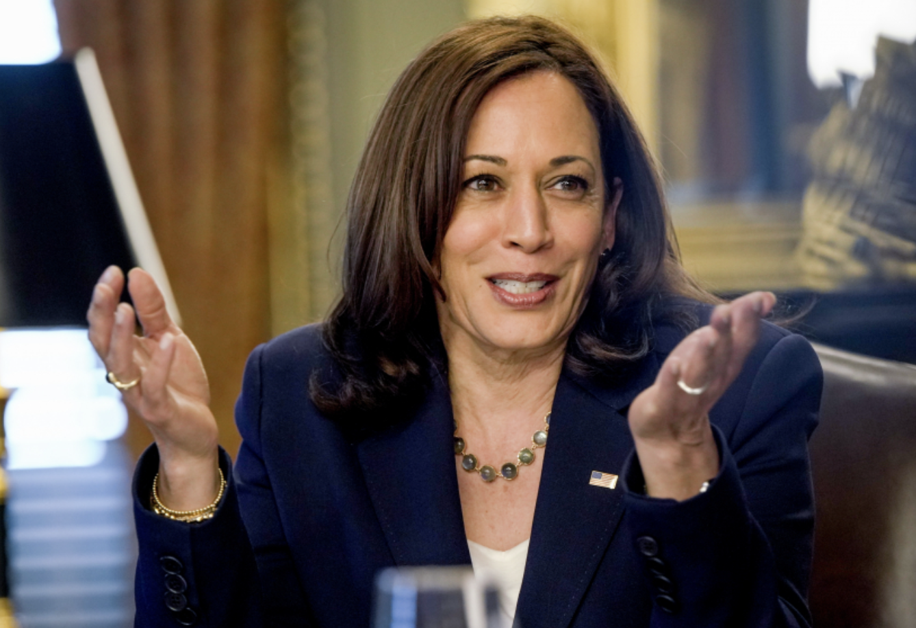 해리스 선거 이력