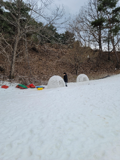 클럽아이리스