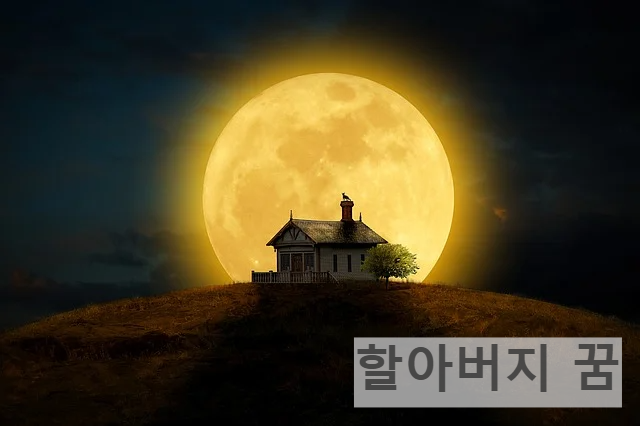 할아버지 꿈
