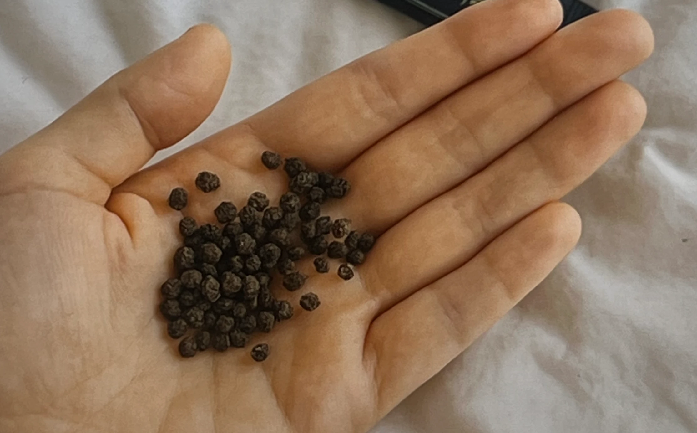 명본당-오늘비움환-내돈내산-후기-작성위해-찍은-제품-사진