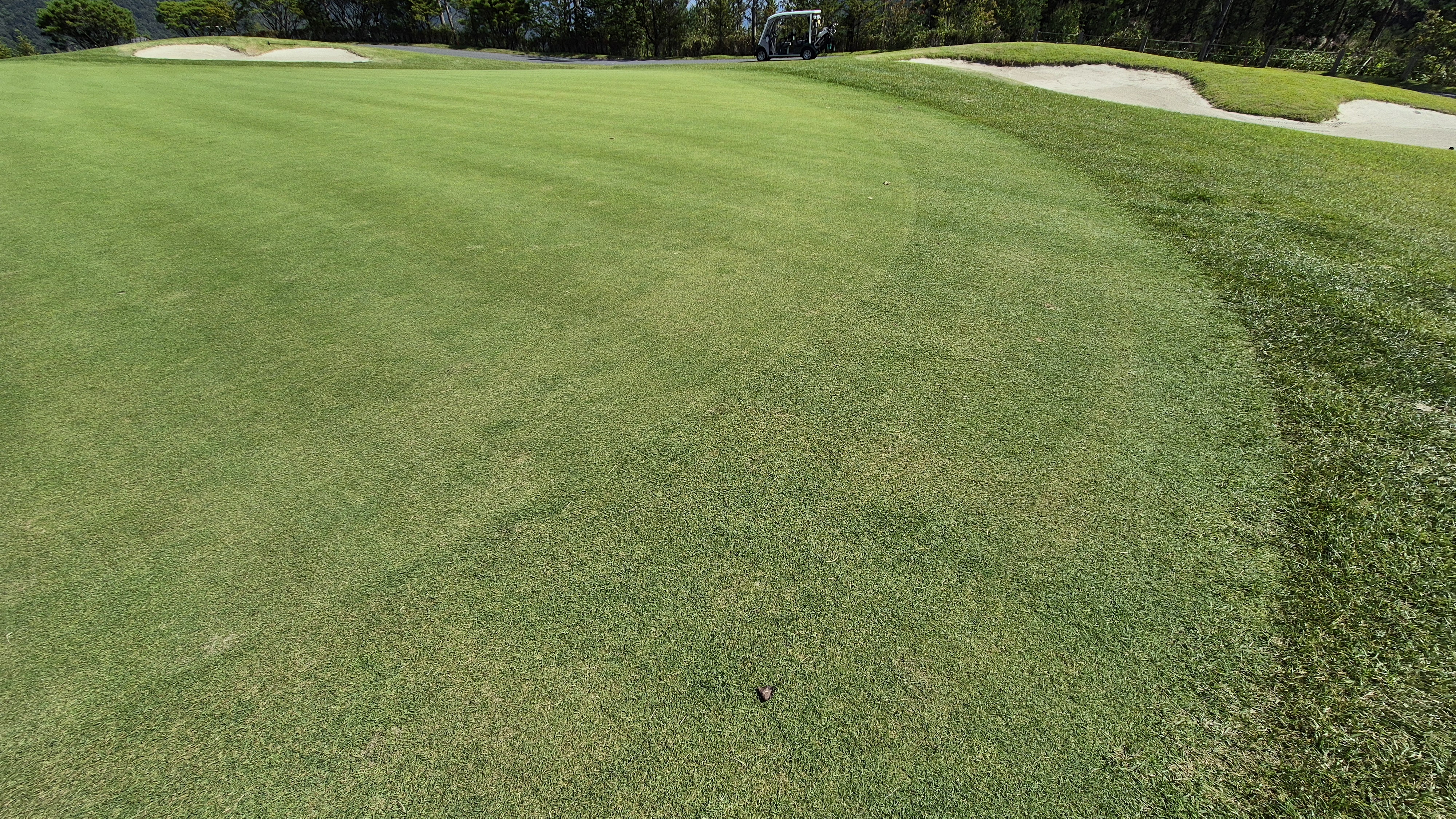 오로라cc 그린 관리 상태