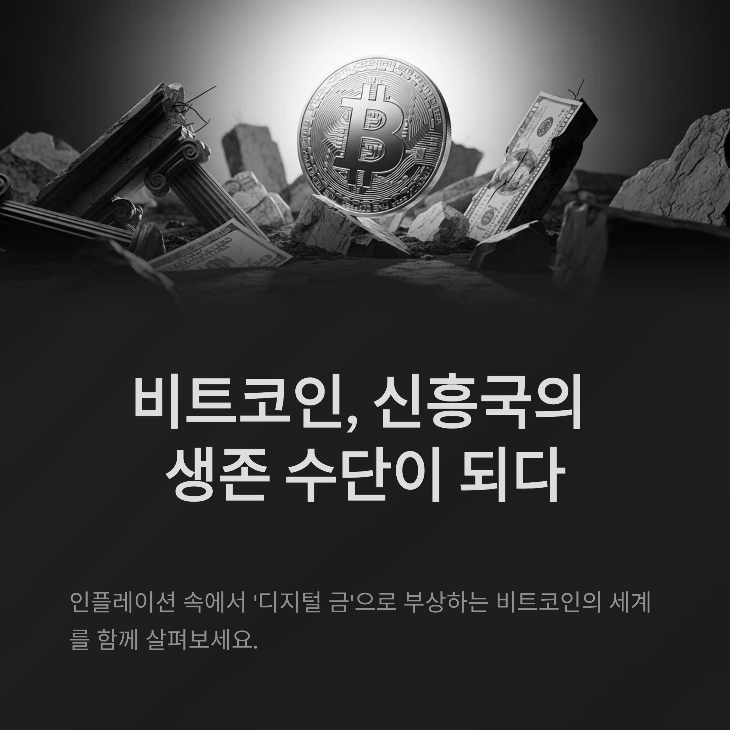 비트코인, 신흥국의 생존 수단에서 글로벌 금융의 판도를 바꾸다