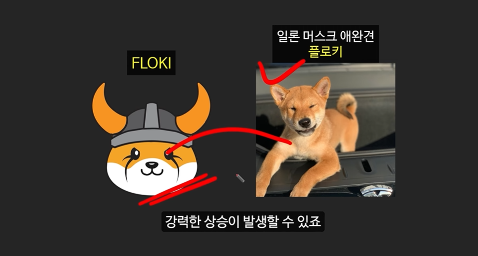 일론 머스크의 충격 발언과 도지코인, 플로키코인, 위프코인, 피넛코인, 프레드 코인의 강력한 상승 가능성 분석