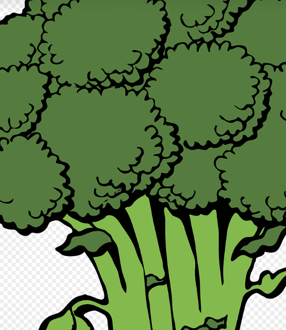 위산 역류에 좋은 음식 정리