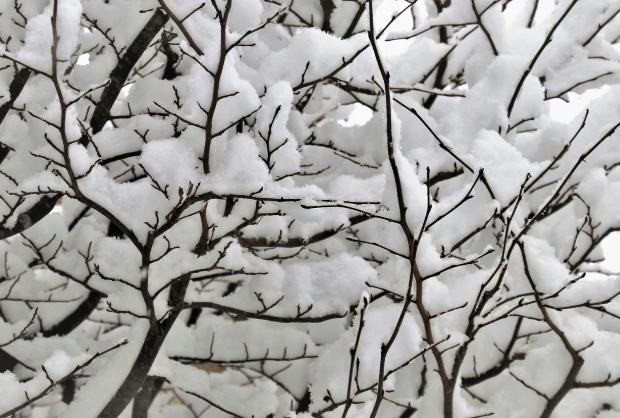 GOP에서 가장 힘들었던 순간: 군인들이 꼽는 최악의 경험 TOP 5