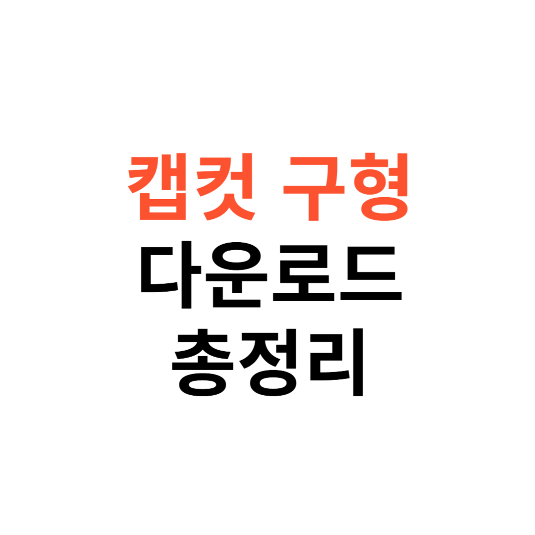 캡컷 구형버전