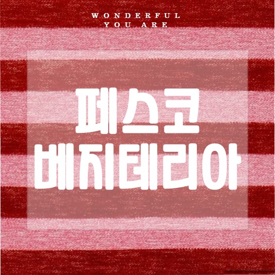 페스코 베지테리언 뜻과 식단 레시피 총정리