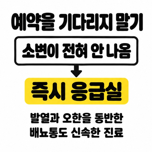 소변이 전혀 안 나오면 즉시 응급실로 가고 발열과 오한을 동반한 배뇨통도 신속한 진료가 필요하다는 안내
