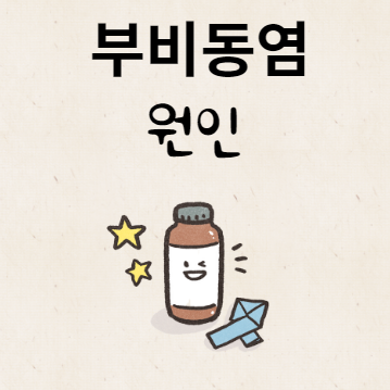 부비동염 원인