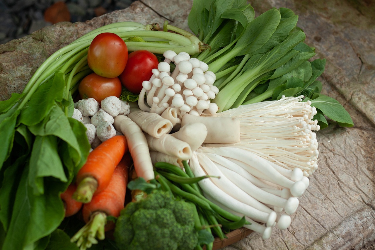 10일 동안의 식단 관리