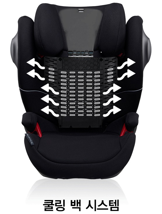 싸이벡스솔루션엠픽스2