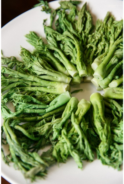 흰색-접시에-담긴-두릅