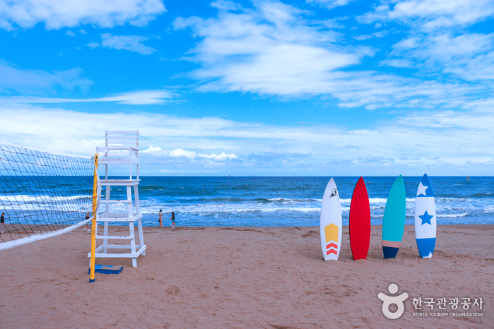 바다앞에 서핑보드4개가 세워져 있다.