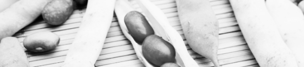 강낭콩 보관방법: 다재다능한 식재료