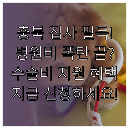 충북 반려동물 수술비 진료비 지원 항..