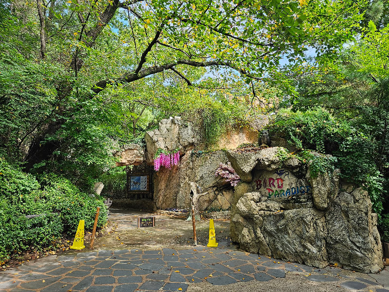 버드 파라다이스