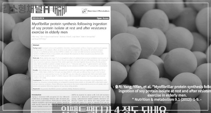 근육생성효과-논문
