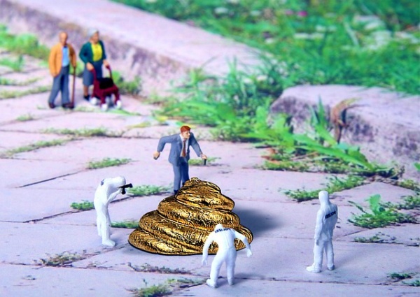 똥