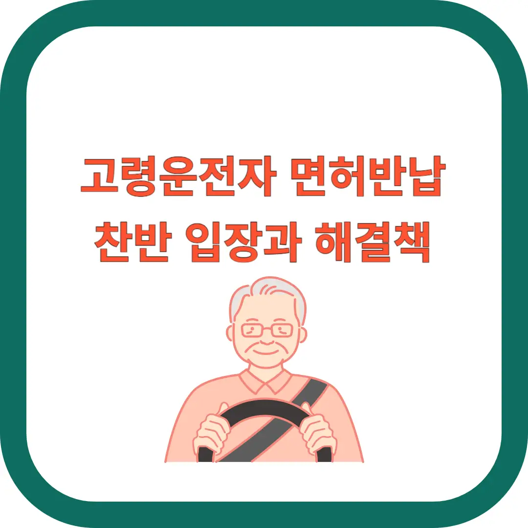 고령운전자-면허반납