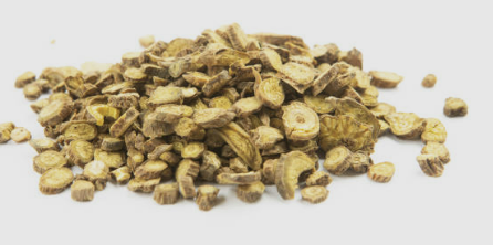 황기&amp;#44; 황기차의 효능 부작용 끓이는법 총정리