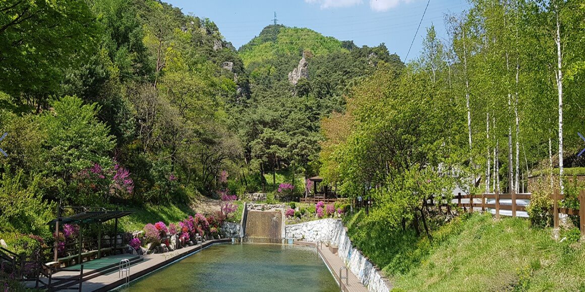 박달재자연휴양림 전경