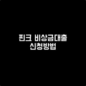 핀크_비상금대출