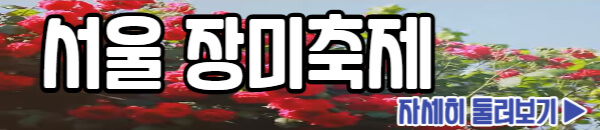 서울 장미축제 둘러보기