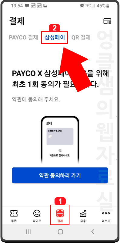 페이코 삼성페이