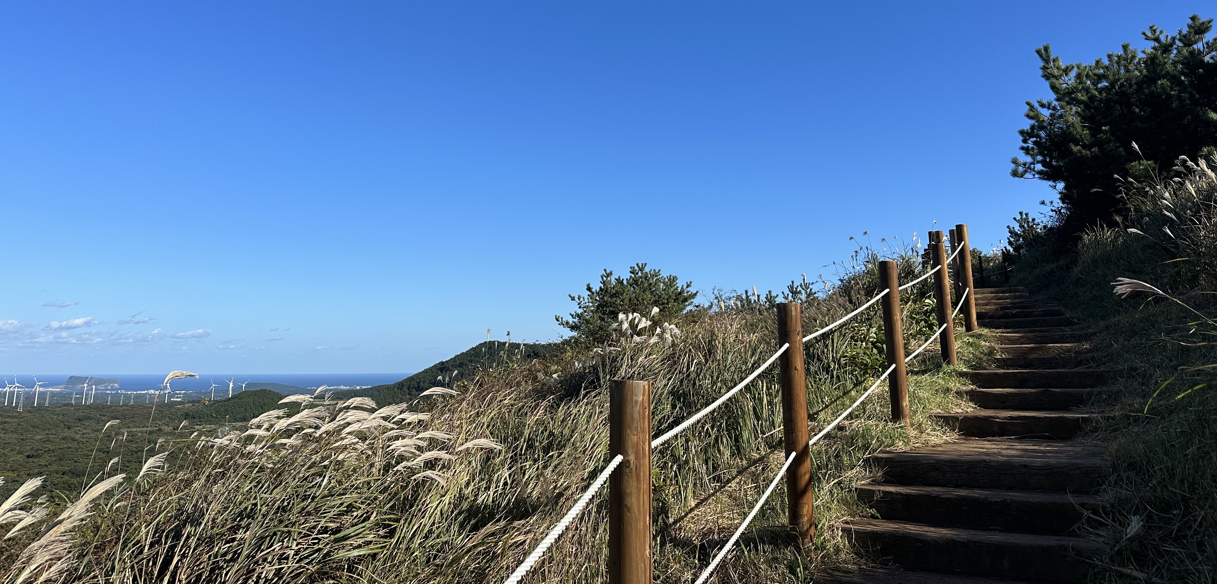 백약이오름 탐방로