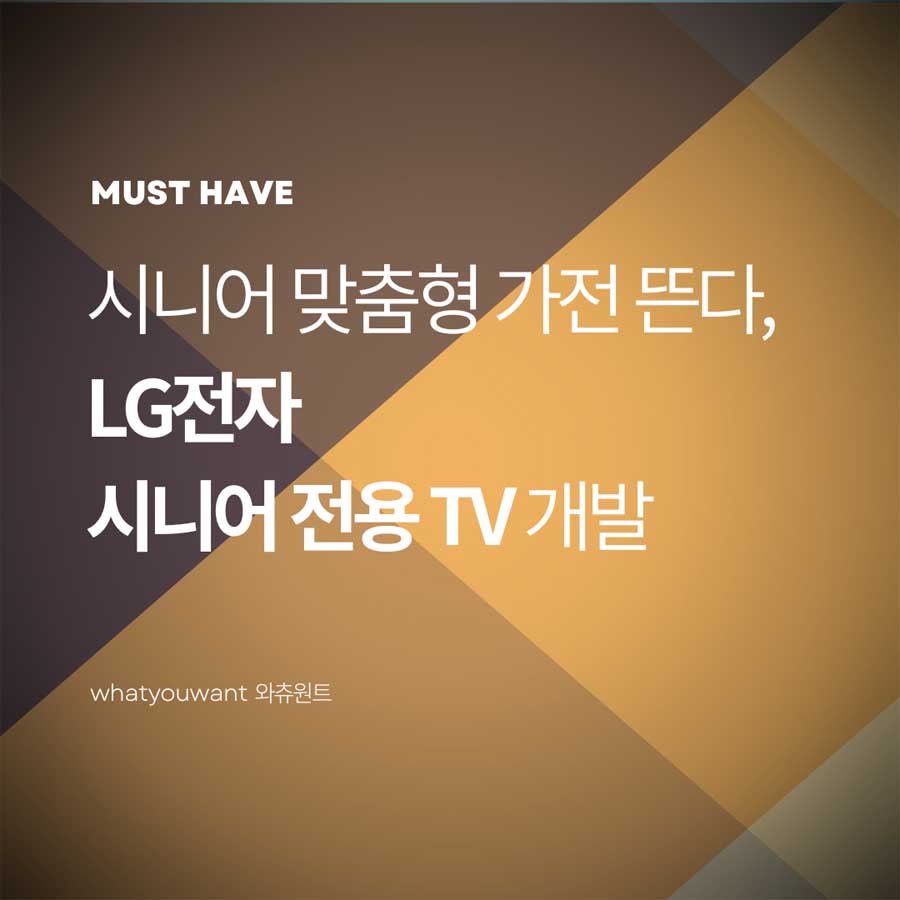 시니어 맞춤형 가전 뜬다 ❘ LG전자 시니어 전용 TV 개발