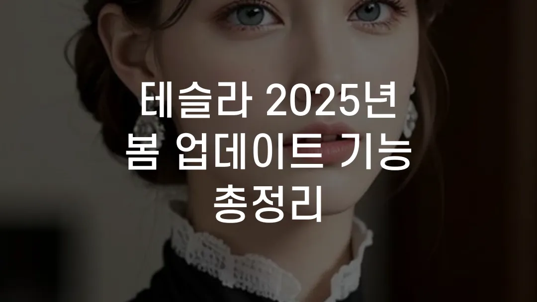 테슬라 2025년 봄 업데이트 기능 총정리