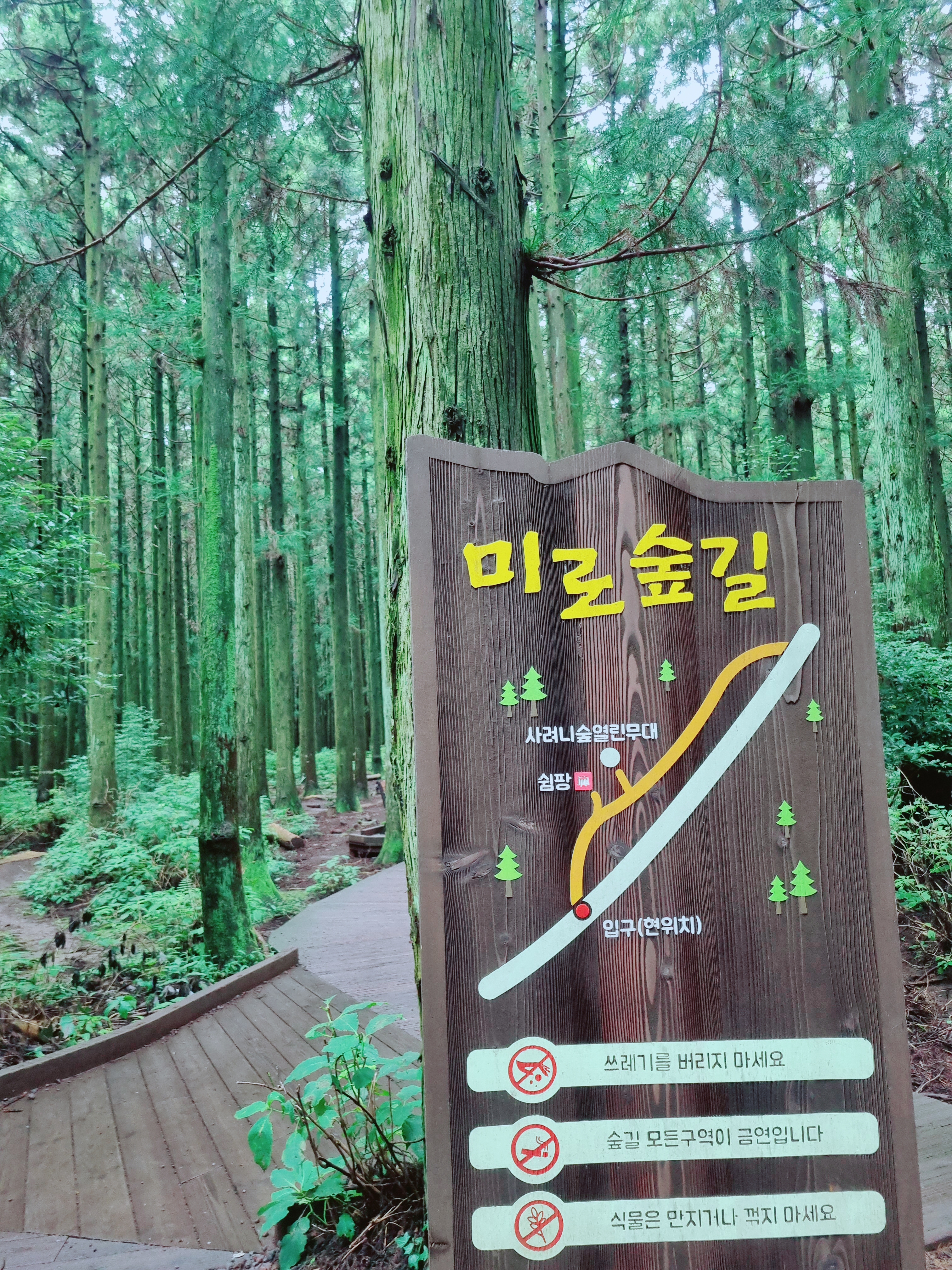 사려니숲길