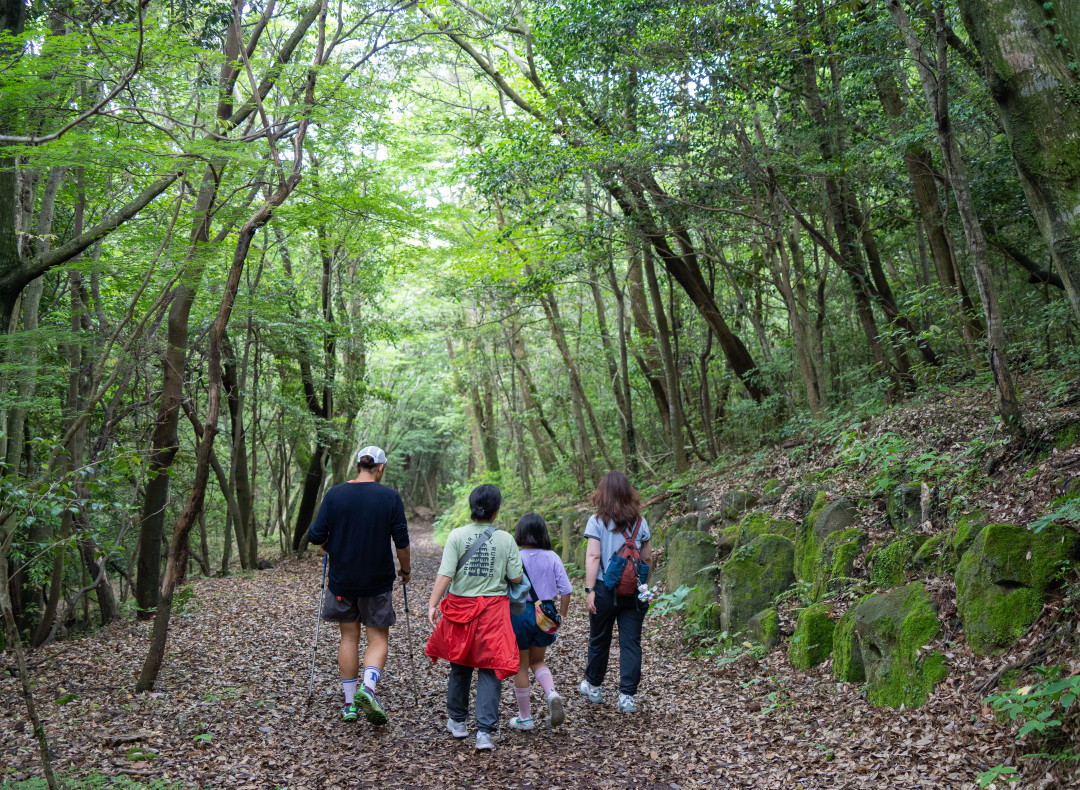 이승악 오름 인지도