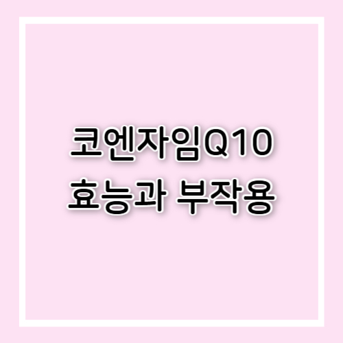 코엔자임Q10 효능과 부작용