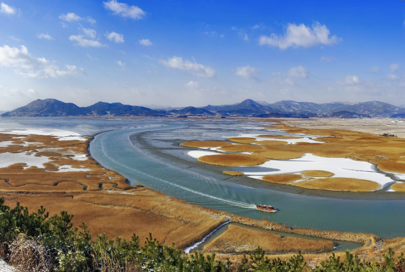 순천만 / 순천만 습지 포토 갤러리 제공