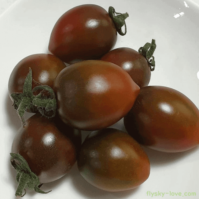 대추방울토마토 고르는 법